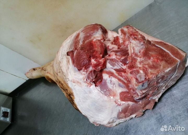 Мясо свинина от производителя