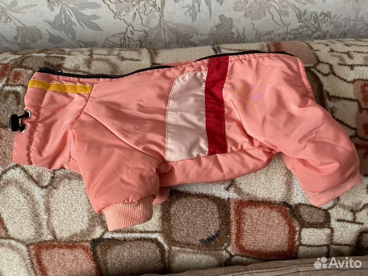 Комбенезон для маленькой собаки