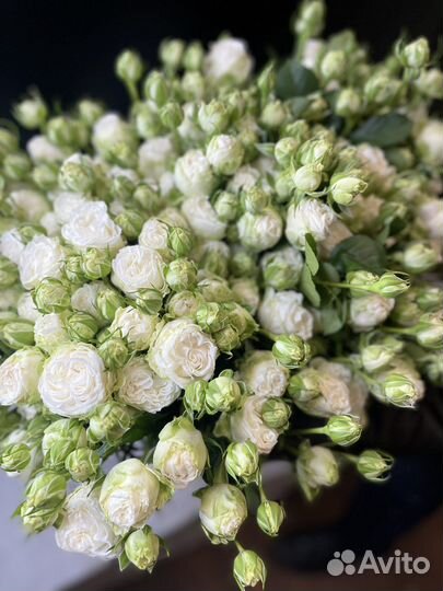 Цветы оптом розы оптом кустовая Роза