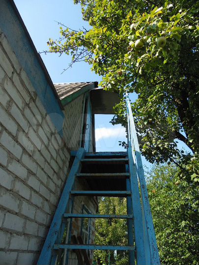 Дача 32 м² на участке 4 сот.