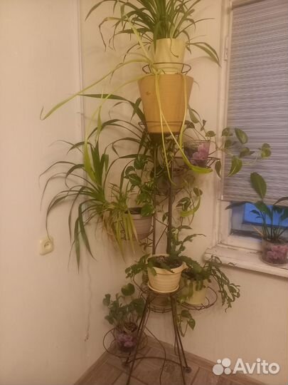 Стойка для цветов напольная