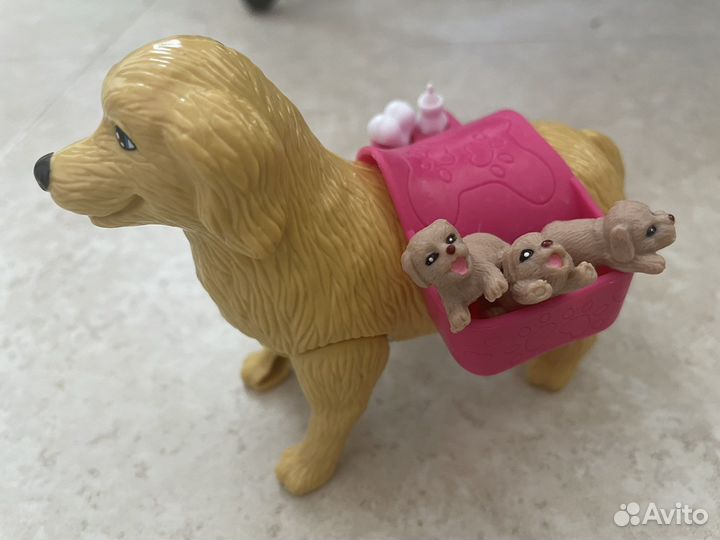 Собака с щенками