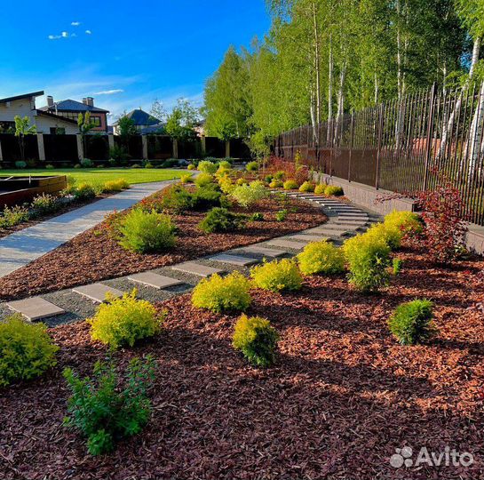 Кора лиственницы