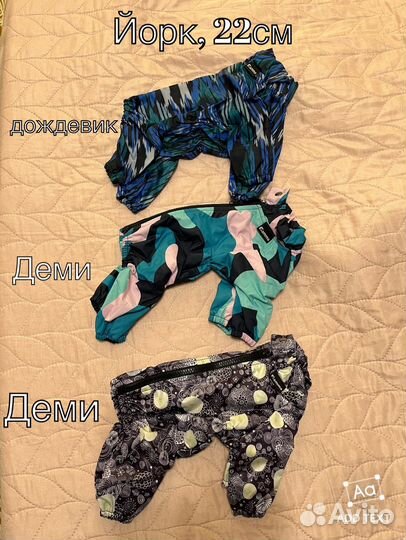 Костюм для собаки