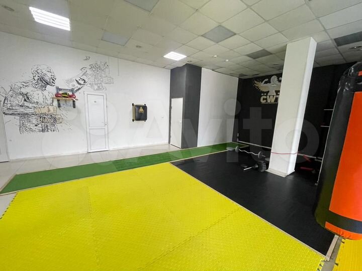 Аренда, ПСН, Центральный, 2 этаж, ремонт, 383 м²