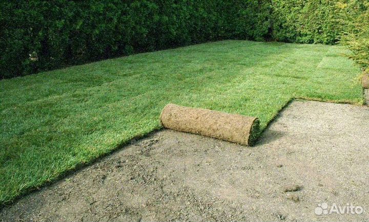 Укладка рулонного газона стандарт