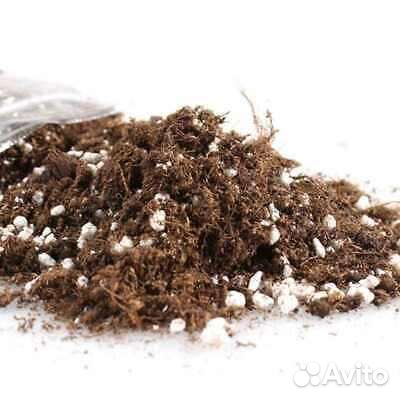 Грунт для антуриума