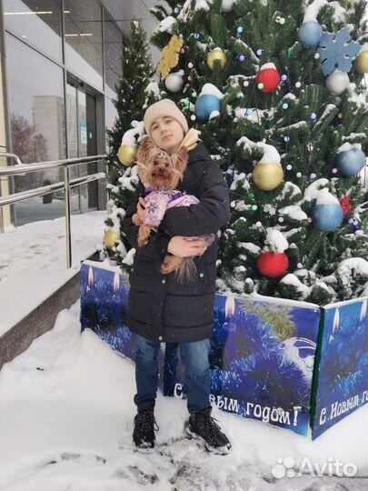 Передержка животных в семье