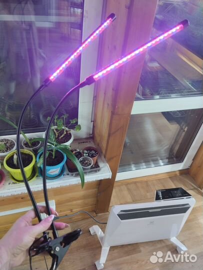 Фито лампа для растений