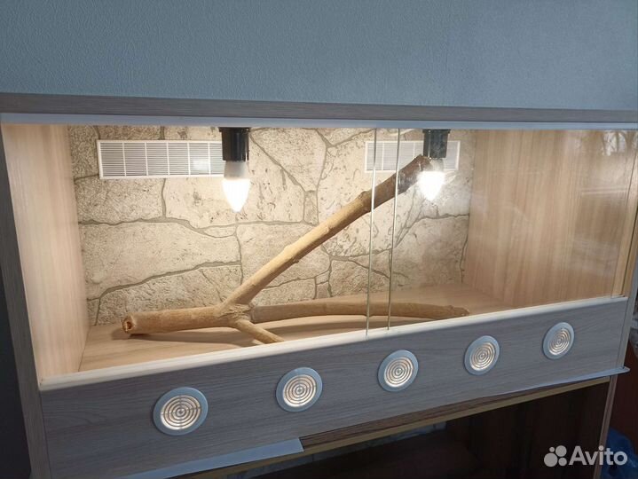 Террариум для рептилий новый