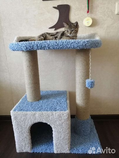 Домик для кошки/ когтеточка/ когтедралка