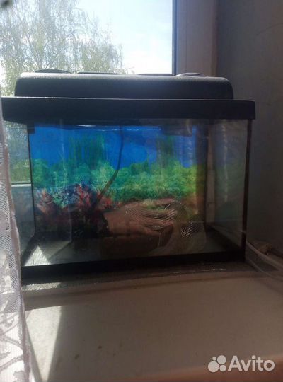 Аквариум