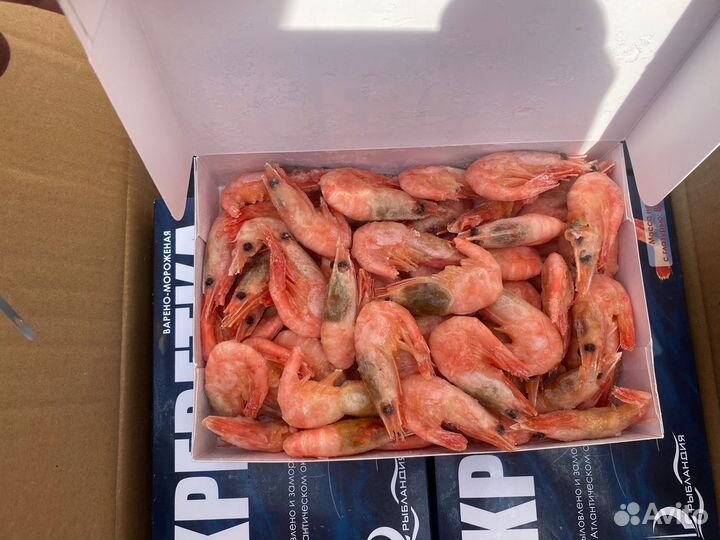 Креветки северные 70/90 свежий улов 2023г
