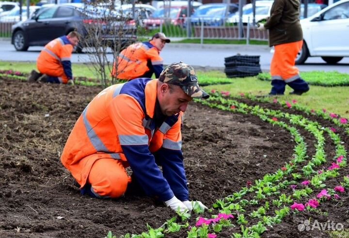 Грунт для газона, плодородный грунт