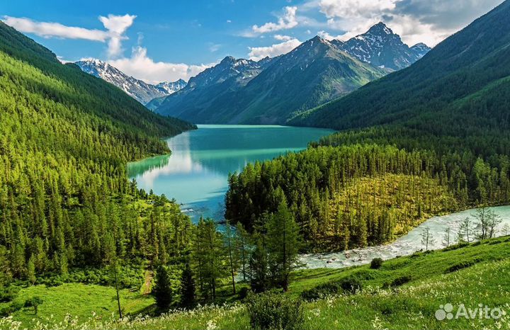 Поездка в Горный Алтай на 6 ночей