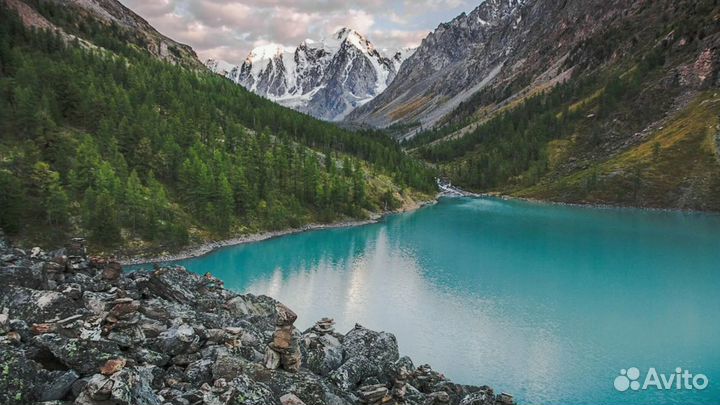 Тур путевка на Алтай завтрак на 6 нч