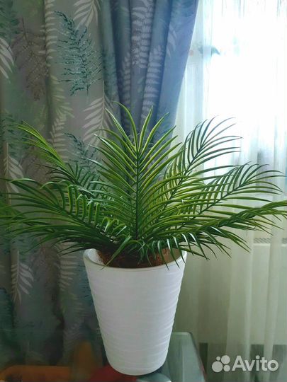 Искусственная пальма