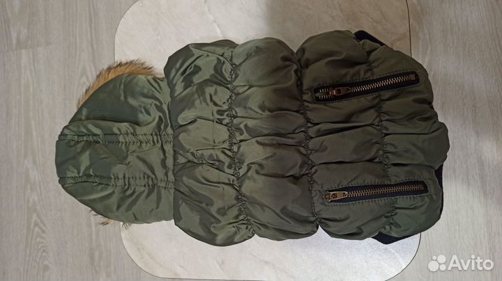 Одежда для собак мелких пород