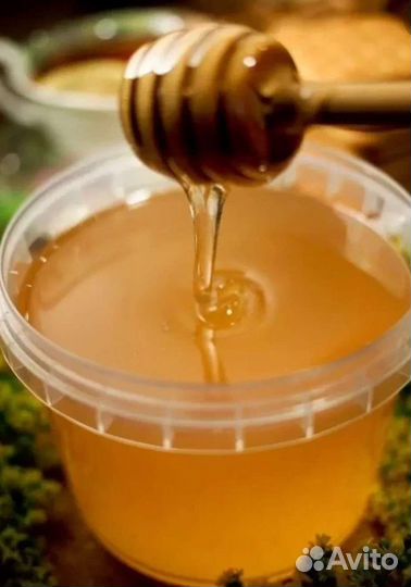 Мед липовый башкирский