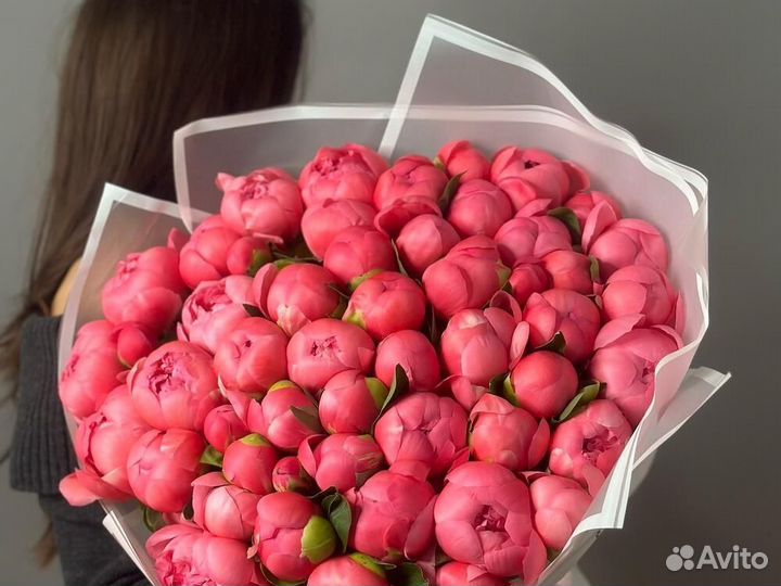 Голландские пионы