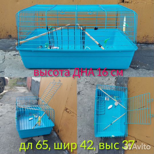 Клетка большааааяяяя