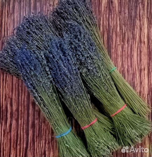Лаванда сухоцвет