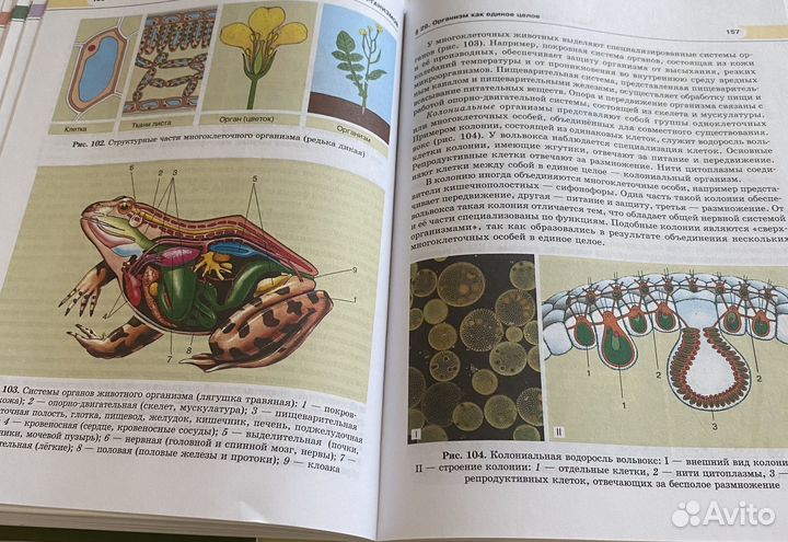 Учебник Биология 10 класс