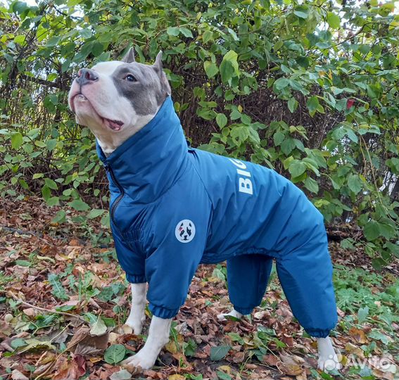 Зимний комбинезон для собак