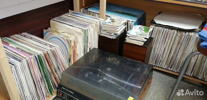 Виниловые пластинки