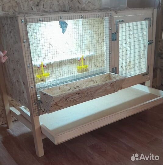 Брудер для цыплят