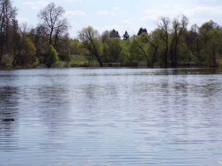 Участок 9 сот. (ИЖС)