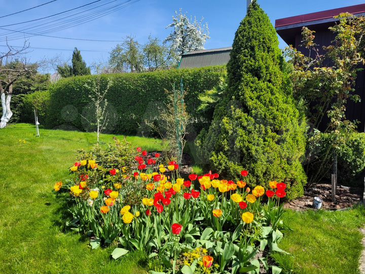 Дача 50 м² на участке 6 сот.