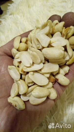 Семена льна, подсолнух, гречка зелёная, нут