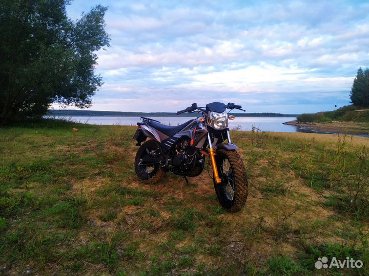 Racer Forester RC200LT