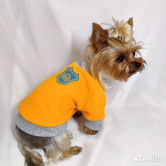 Шью одежду для собак