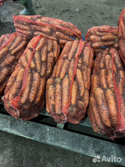 Морковь корейка