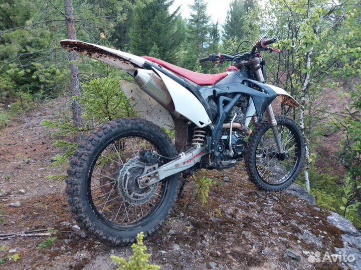 T-Rex 250 pro (Bse Z5)
