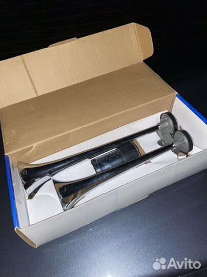 Пневмосигнал (2х рожковый)