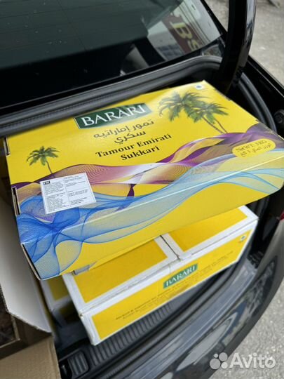 Свежие финики Суккари 3 кг