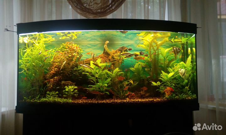 Изготовление, запуск, обслужи-ние аква-мов, прудов