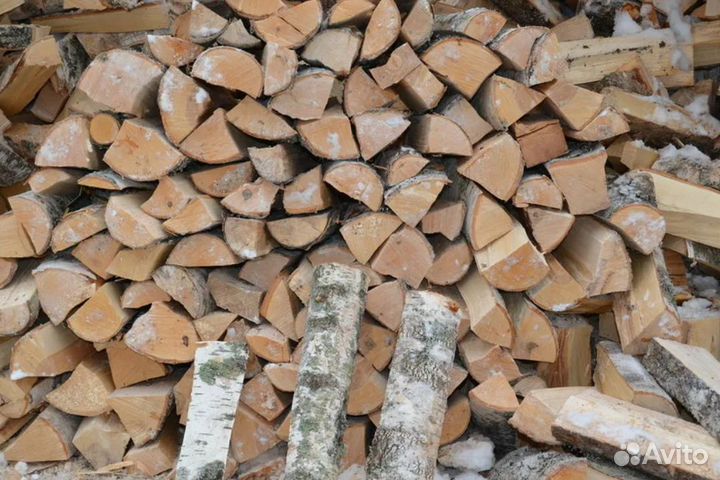 Дрова береза