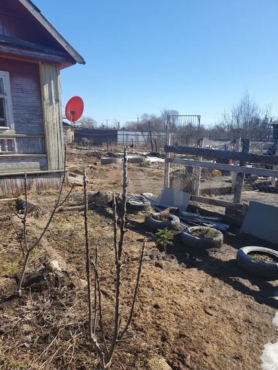 Дом 35 м² на участке 19,2 сот.