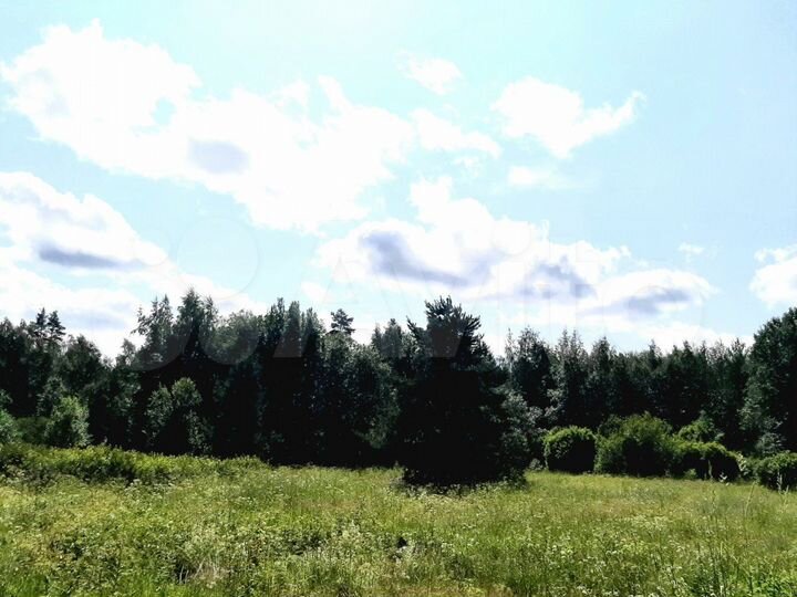 Участок 100 сот. (СНТ, ДНП)