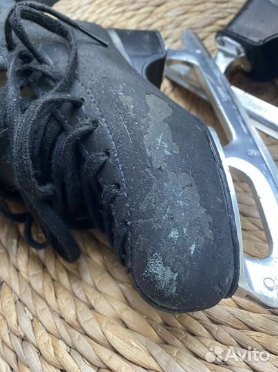 Коньки Edea concerto 24