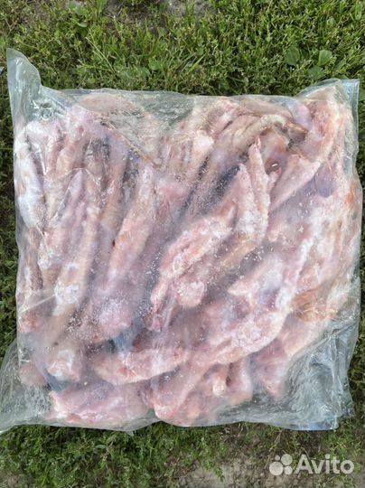 Субпродукты курицы и индейки