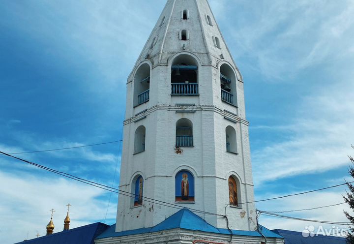 5июл24 Путешествие со вкусом (2М ) /цо3066