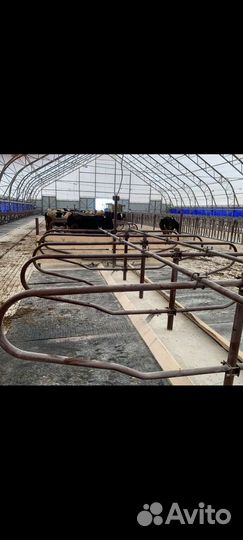 Стойловое оборудование за 1 комплект