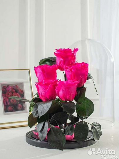 Роза в колбе оптом и в розницу