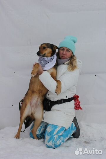 Ася-молодая и симпатичная девочка ищет дом