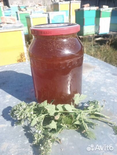 Мед башкирский